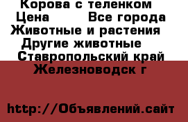 Корова с теленком › Цена ­ 69 - Все города Животные и растения » Другие животные   . Ставропольский край,Железноводск г.